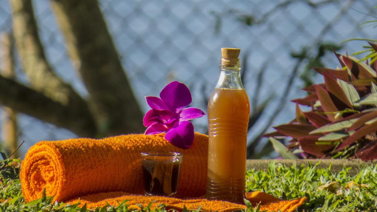 Hotel Ayurveda Spring Of Life Piliyandala Exteriér fotografie